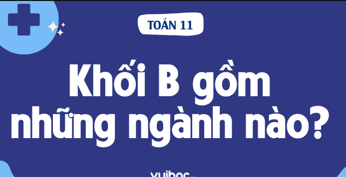 Khối b la gi ? Có GÌ khác với khối a