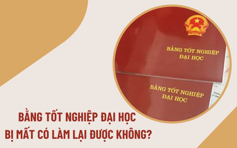 Mất Bằng Đại Học Phải Làm Sao? Quy Trình Xử Lý Nhanh Chóng Và Hiệu Quả